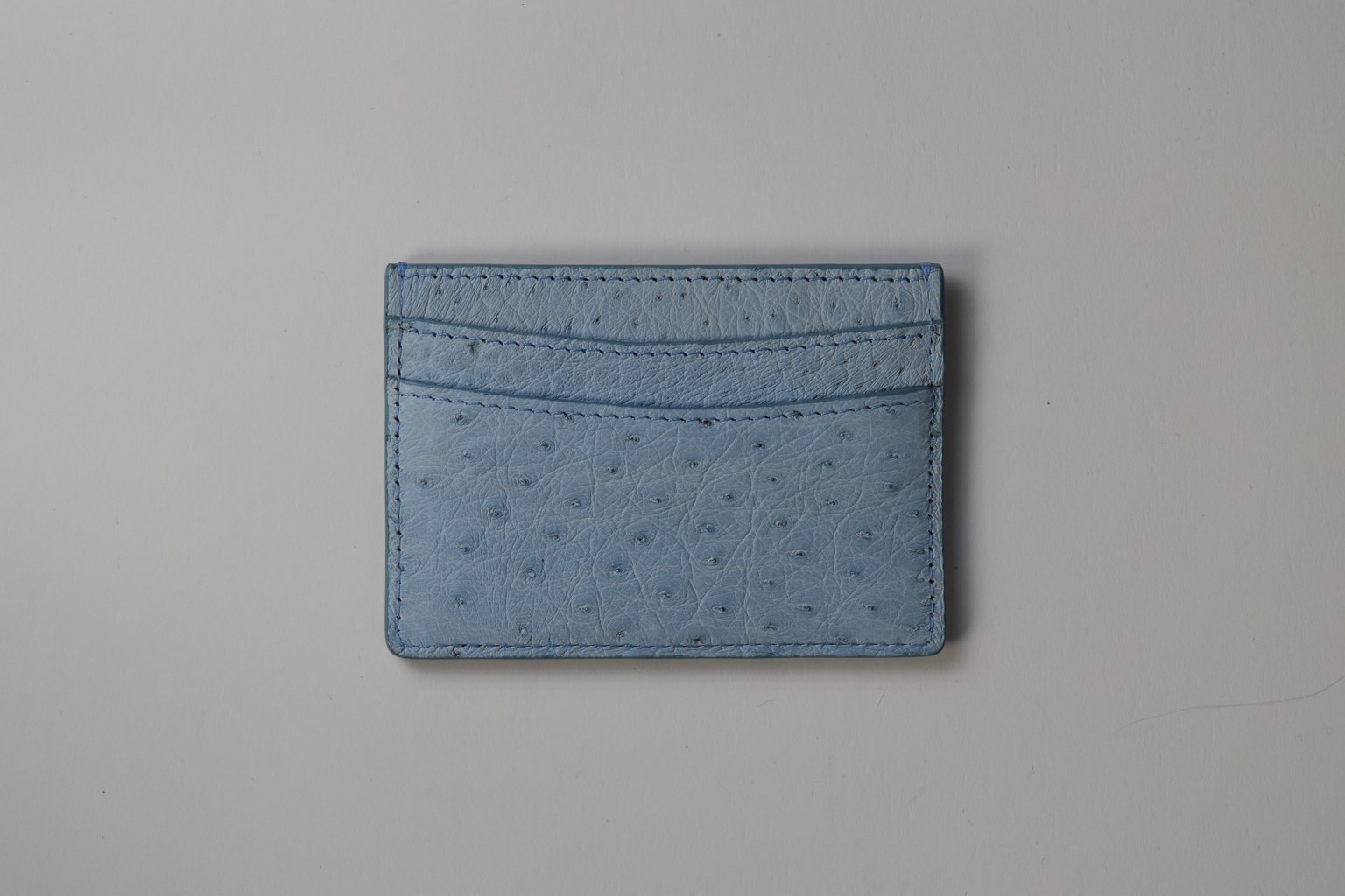 a blue ostrich card holder on a white surface